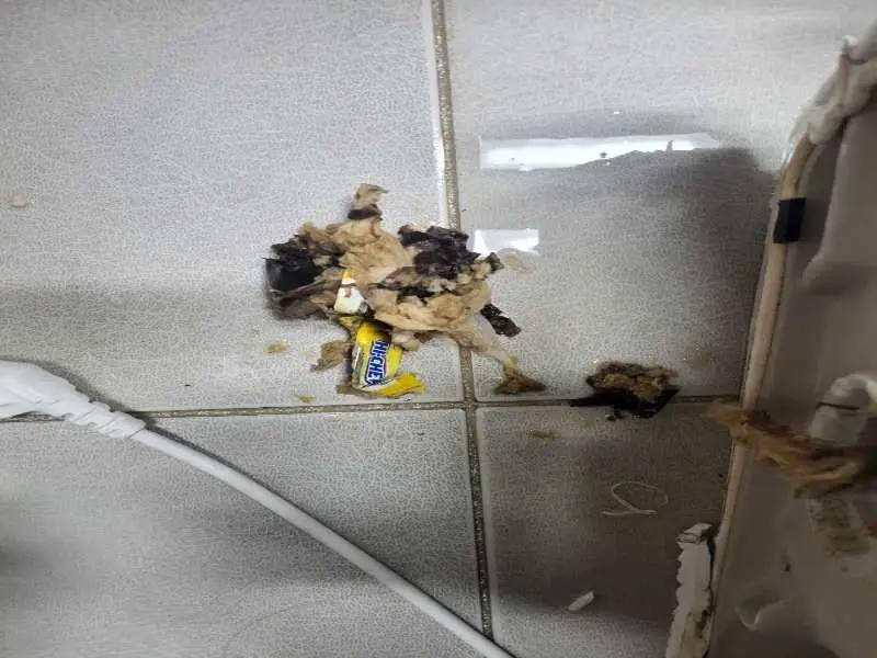 여주 배관 이물질 제거 사례 2